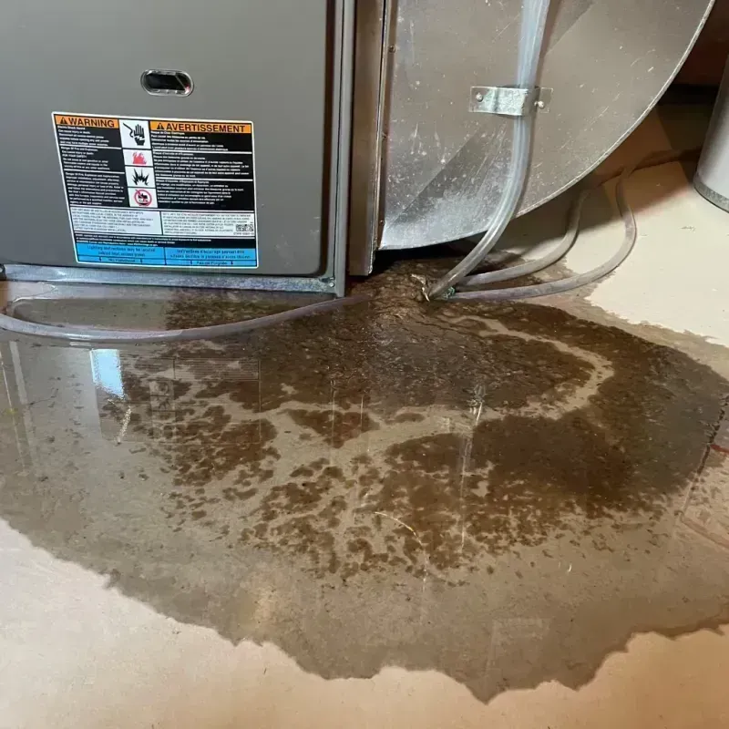 Appliance Leak Cleanup in Bullitt County, KY